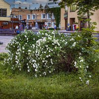 Гордская зарисовка :: Владимир Кроливец Гордская зарисовка :: Владимир Кроливец