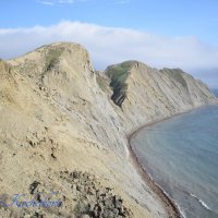 Природа Крыма :: Amazing Cosmea