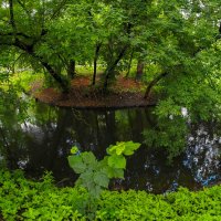 ***** :: юрий поляков