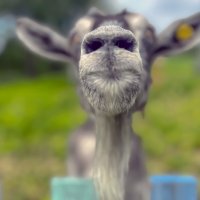 С добрым утром :: Дмитрий Иванов