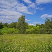 Палитра июня... :: Владимир Жданов