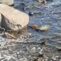 Онежское озеро :: Ирэн 