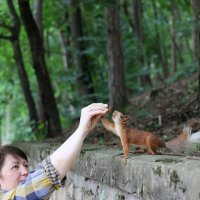 Да привет, привет!!! :: Александр Кондаков Да привет, привет!!! :: Александр Кондаков