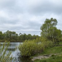 ... :: Елена Пономарева