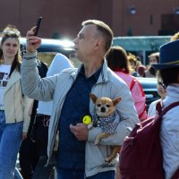 Для себя. :: Наталья Вязигина