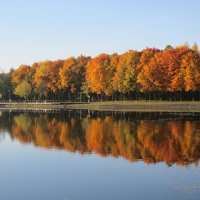 Яркие краски осени :: Дмитрий Никитин