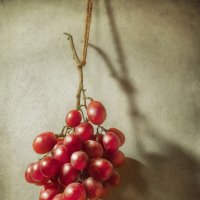 Виноград. :: Oleg Rastorguev