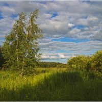 Летний этюд :: Валентин Котляров Летний этюд :: Валентин Котляров
