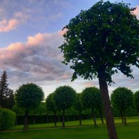 Закат :: Сапсан 