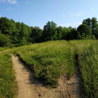 "Над тобою, поле, небо голубое, небо Родины моей" (из песни советских времён) :: Андрей Лукьянов