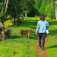 Июнь...Утром на церковном холме с собакой! :: Владимир 