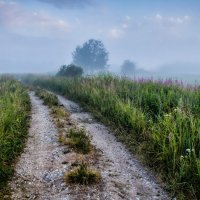 "В тумане утреннем неверными шагами ..." (Владимир Соловьев) :: Игорь Викторов