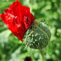 На встречу новому дню :: Валентина Богатко 