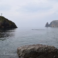 Природа Крыма :: Amazing Cosmea