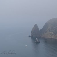 Природа Крыма :: Amazing Cosmea