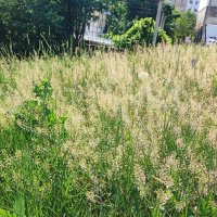 ,,, :: Сергей Тимоновский