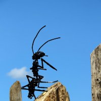 Турист с острова Мадагаскар :: Vlad Сергиевич Турист с острова Мадагаскар :: Vlad Сергиевич