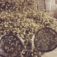 13  ОПЕН (180) :: OPEN WAYS ALL