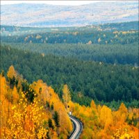 Ящерка :: александр 