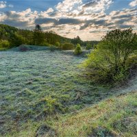 "Заморозки на почве" :: **** vedin