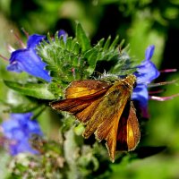 из снятого сегодня 1 :: Александр Прокудин