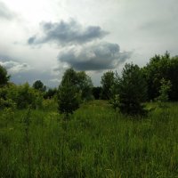 * * * :: Андрей Лукьянов * * * :: Андрей Лукьянов