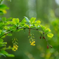 ___ :: Yuriy V ___ :: Yuriy V