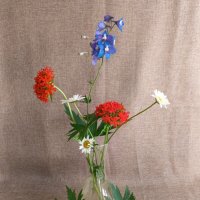 Скромный букетик :: Любовь Сахарова Скромный букетик :: Любовь Сахарова