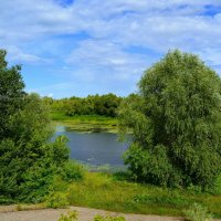 Ядрин. Ивы над заливом реки Суры. :: Пётр Чернега