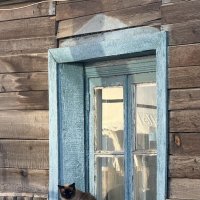 Кошка в окошке :: Екатерина Маринина