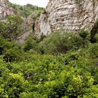 ДОРОГИ РАЗНЫЕ БЫВАЮТ. :: Виктор Осипчук