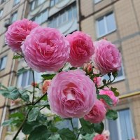 ,,, :: Сергей Тимоновский