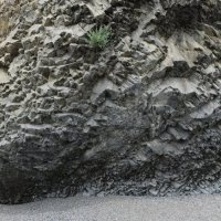 Природа Крыма :: Amazing Cosmea