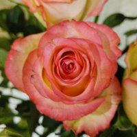 Природа - лучший художник :: Галина Бобкина