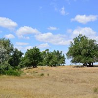 **** :: Виктор 