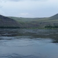 Птичий остров ... :: Любовь Иванова