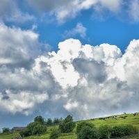 на околице :: александр 