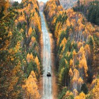 Уральское предгорье :: александр 