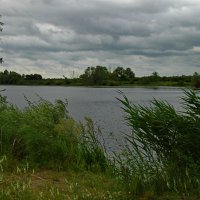 ... :: Елена Пономарева