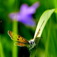 из снятого вчера 1 :: Александр Прокудин из снятого вчера 1 :: Александр Прокудин