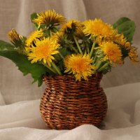 В тёплых тонах :: Любовь Сахарова В тёплых тонах :: Любовь Сахарова