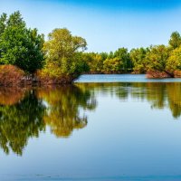 Лето :: Петр 