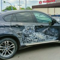 Аэрография :: ольга хакимова