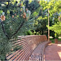 В парке на острове Канта. :: Валерия Комова В парке на острове Канта. :: Валерия Комова