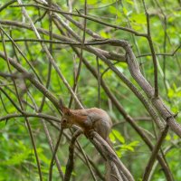 ___ :: Yuriy V ___ :: Yuriy V