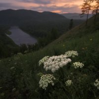 * :: Александр Иванов