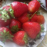 Клубничное утро :: Елена Семигина