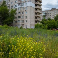 Дома :: Александр Синдерёв Дома :: Александр Синдерёв