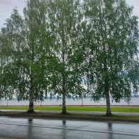 Набережная в Петрозаводске :: Ирэн 