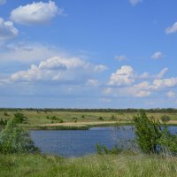 Оазис в степи. :: Виктор Оазис в степи. :: Виктор